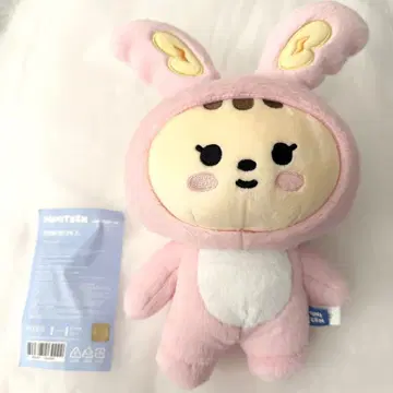 MINITEEN HOUSE PARTY 팝업 봉제 인형 정한