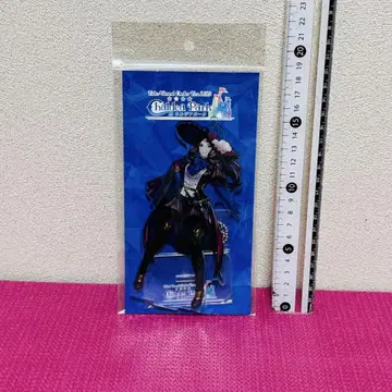 Fate Grand Order 레오나르도 다빈치 아크릴 스탠드,