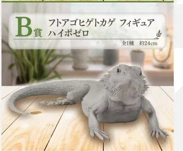 파충류&양서류 vol.2 제일복권 B상 후토아고히게도마뱀 피규어