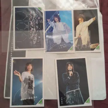 Keyakizaka46 나가타니엔 콜라보 카드 세트 (반짝이 포함)