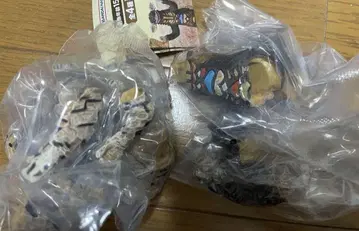에레킹 간고 하시모토 미오의 울트라 괴수 조각해 보았다 02