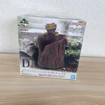 크레스티드 게코와 발판 소품함