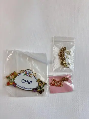 디즈니씨 칩과 데일 네임택 참