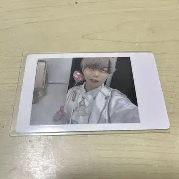 팬더 드래곤 아즈 히카 나카노 화이트