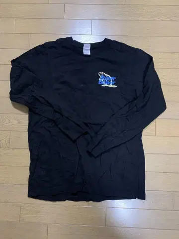 SUPER BEAVER 라이브 롱T