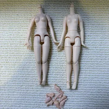 퓨어니모 아이시 인형 가동식 바디 바디 가동 리카짱