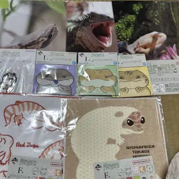 제일복권 파충류 & 양서류 G상, H상, I상, F상