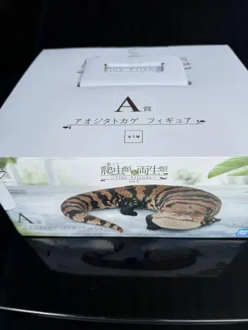 파충류&양서류 vol.2 제일복권 A상 푸른혀도마뱀 피규어