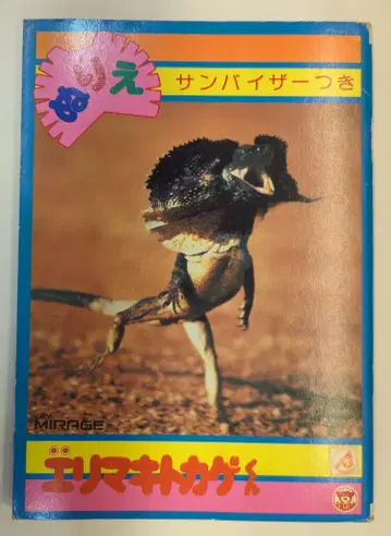 에이코샤 색칠놀이 엘리마키도마뱀 군