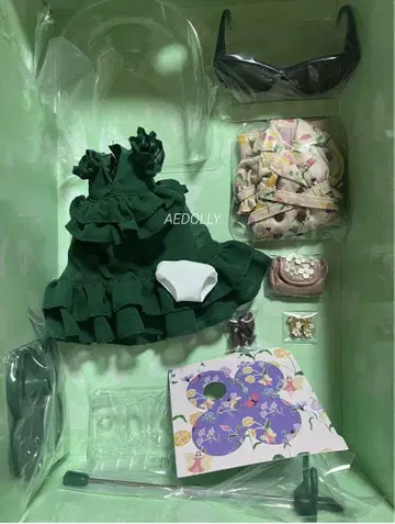 네오 브라이스 브라이스 어반 페어리 엘리 아웃핏 세트