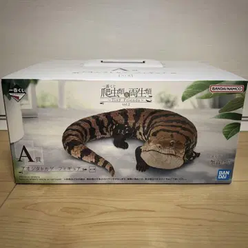 A상 아오지타도마뱀 피규어