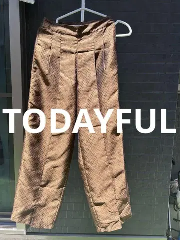 브라운 도트 무늬 와이드 팬츠 TODAYFUL 36