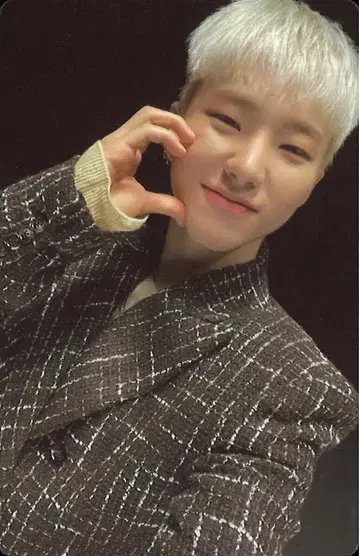 SEVENTEEN FACE THE SUN HOSHI 트레이딩 카드 보통