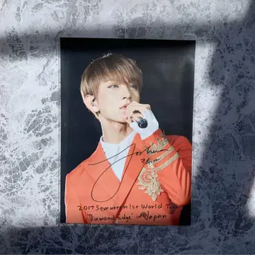 로손 프린트 조슈아 세븐틴