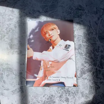 로손 프린트 조슈아 세븐틴