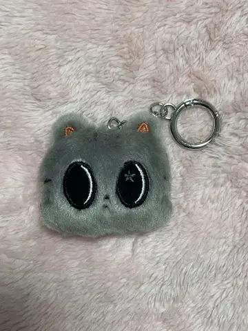 TXT 뿔바투 FACE KEYRING 다곤냥 태현