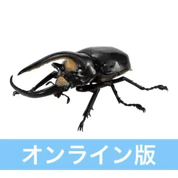 생물대도감 가부토무시 08 온라인판 [넵튠 장수풍뎅이(개)]