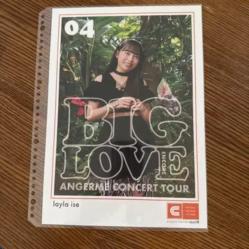 안주루무 이세 레이란 씨의 핑업 포스터!