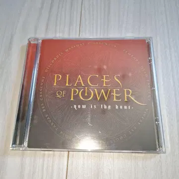 새상품급 PLACES OF POWER 폴리너 BRUCE TURGON