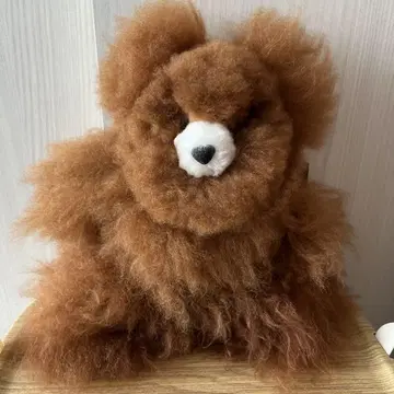 클래스카 CLASKA 알파카 봉제 인형 곰