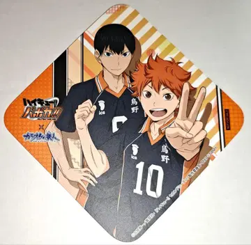 하이큐!! 바보카!! 히나타 쇼요 카게야마 토비오 코스터 가라오케 철인