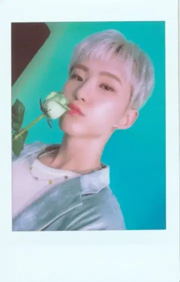 SEVENTEEN Hanabi HOSHI 인스턴트 포토 카드 플라워