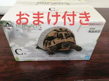 파충류 및 양서류 제일복권 C상 헬만리쿠가메 피규어 방에서 놀기 ver