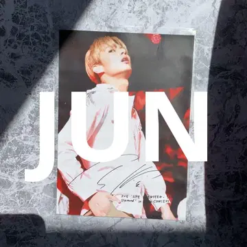 로손 프린트 준 세븐틴