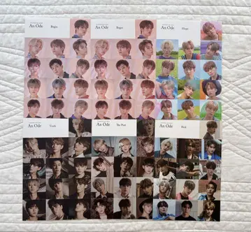 세븐틴 스티커