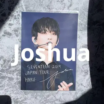 seventeen 조슈아 로손 프린트