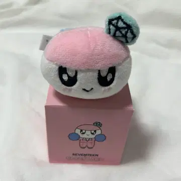 SEVENTEEN 세부치 모자 꽁지 데코 밴딩