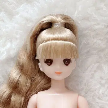 거의 미사용 리카짱 캐슬 푸르룽짱 오타노시미 인형