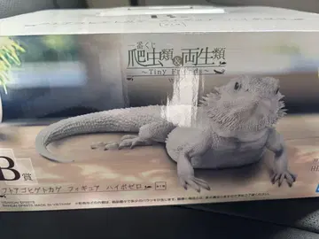 제일복권 파충류 및 양서류 후토아고히게도마뱀 하이포제로