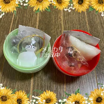 우리 아이 털뭉치 하치와레 & 삼색 고양이