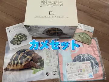 제일복권 파충류 및 양서류 C상 헬만리쿠가메 거북이 세트