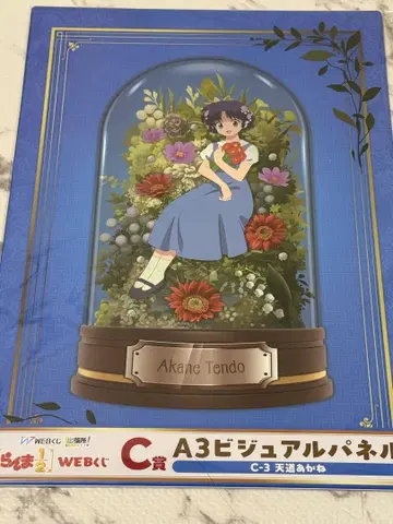 란마 1/2 웹 복권 C상 A3 비주얼 패널 텐도 아카네