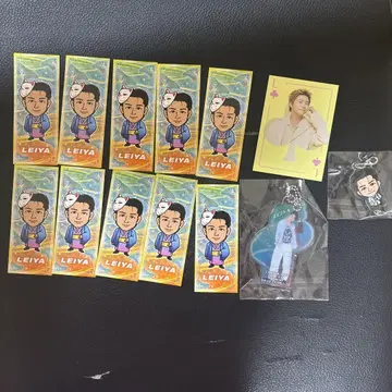 94 세구치 레이야 세트 판매