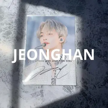 로손 프린트 정한 seventeen