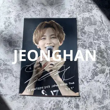 로손 프린트 정한 seventeen