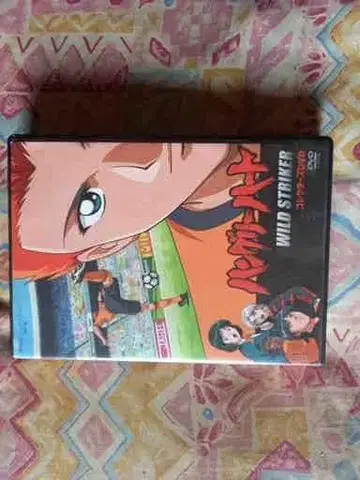 헝그리 하트 ~WILD STRIKER~ 컬렉터즈 DVD