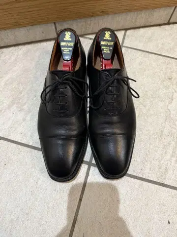 스코치 그레인 샤인 오어 레인 24.5cm