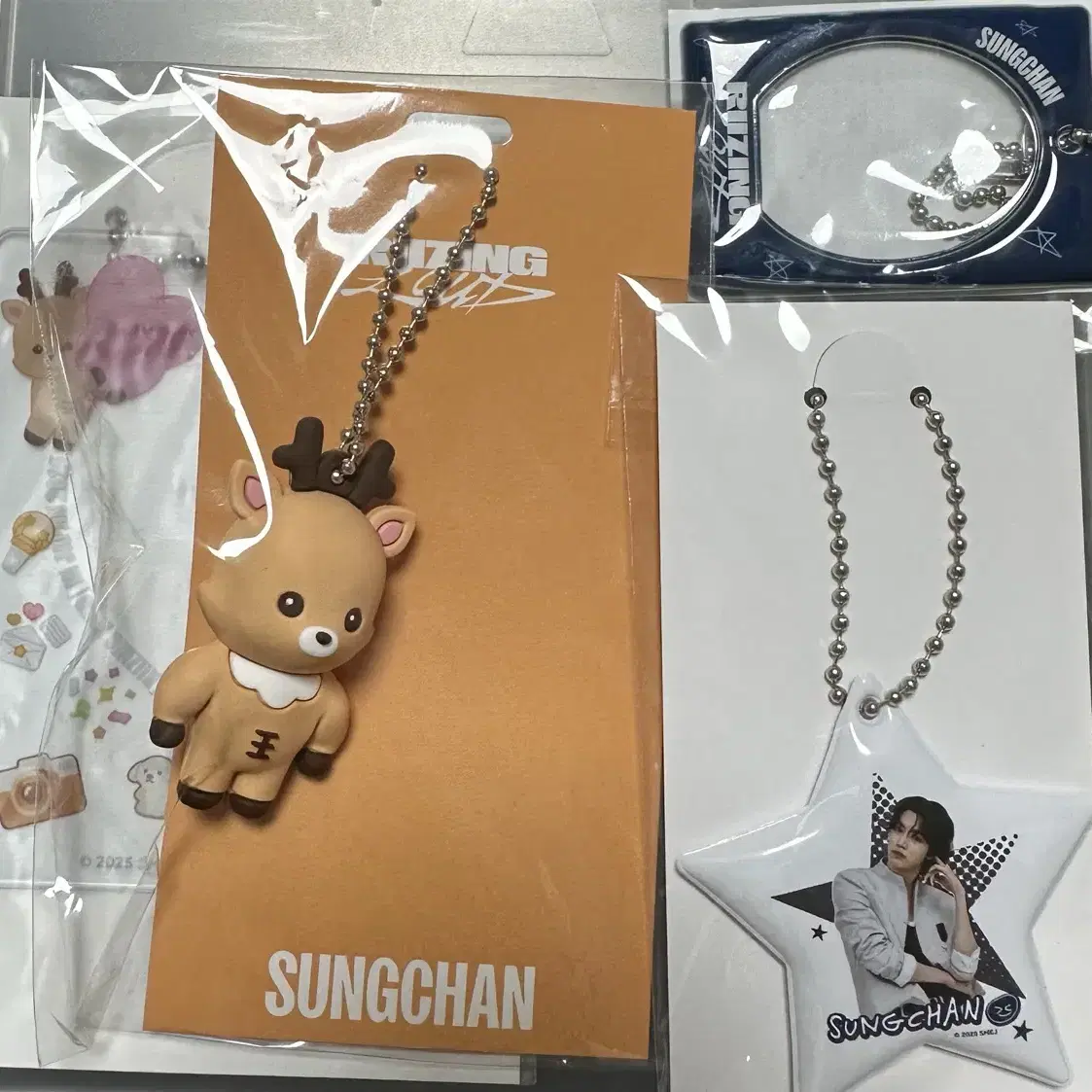 RIIZE ランダムトイ　ソンチャン SUNGCHAN コンプリート 6点セット RIIZE | 라이즈 Riize Japan concert random toy + MD sungchan