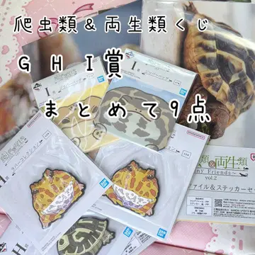제일복권 파충류&양서류 클리어 파일 러버 컬렉션 지퍼 백
