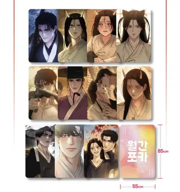 톡신 포토 카드 한국 BL