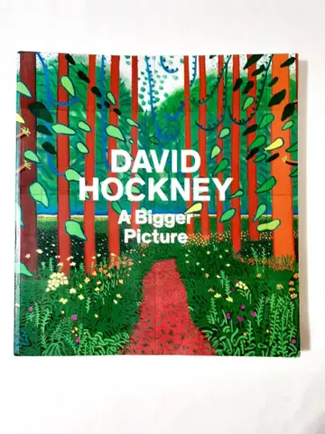 David Hockney A Bigger Picture 호크니 영문판