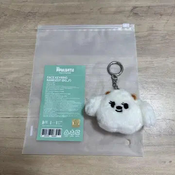 TXT PPULBATU 봄규 붐구 페이스 키링