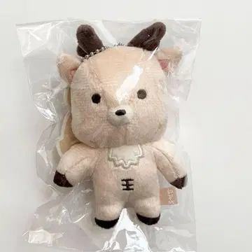 RIIZE 성찬 봉제 인형