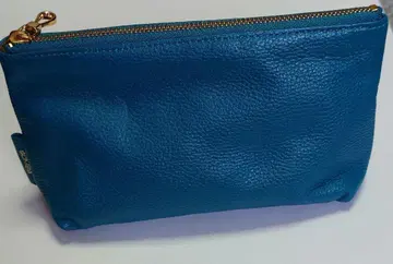 SOMES 청록색 가죽 파우치 골드 지퍼