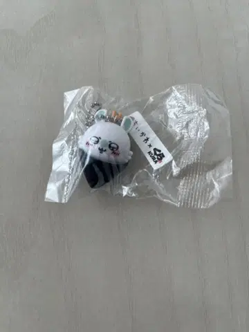 치이카와 (먼작귀) 쿠라스시 모몽가