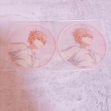 파라라이 교토